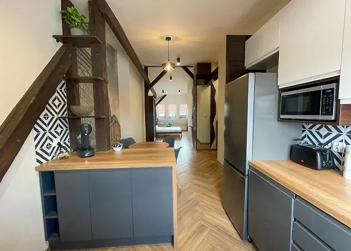 Long Attic Apartment Poznan